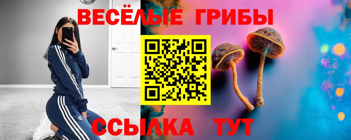Псилоцибиновые грибы Magic Shrooms Туапсе