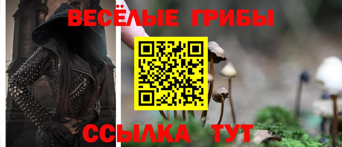 закладка  Галлюциногенные грибы Cubensis  Вход с VPN  Туапсе  Галлюциногенные грибы мухоморы 